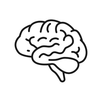Drawn on Animation of Brain Line Icon Video