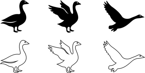 Collection of waterfowl silhouettes illustration set, flying ducks geese and swimming swans icons,  © Ajimicon