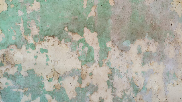the surface of the house wall is damp so it is damaged