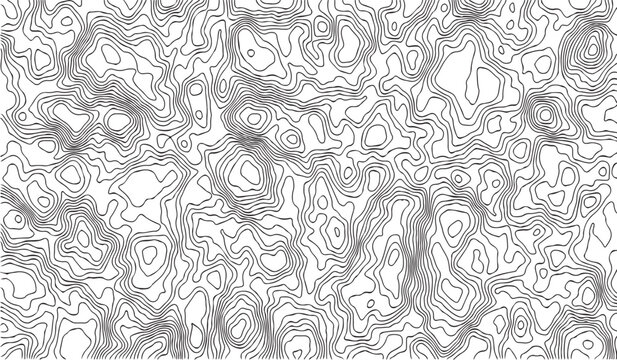 topographic white and grey light wave line topo map contour modern design white background. Wavy topography geography design map, texture, line, adventure, mountain, vector illustration.