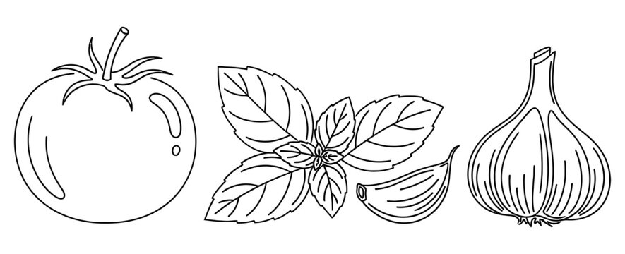 Simple line vector illustration of tomato basil and garlic