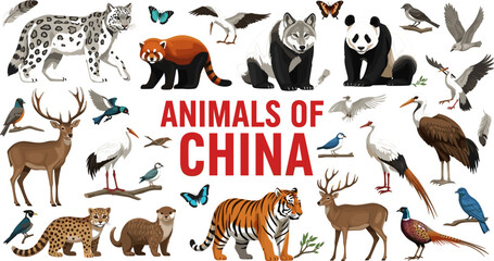 Colorful Animals of China wildlife poster with giant panda snow leopard red panda tiger deer and native birds flat vector illustration © Shakhawat