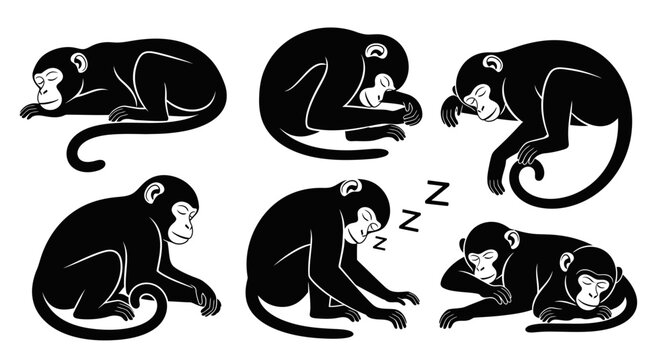 Sleeping Monkeys Silhouettes Set: Various Resting Poses of Primates
