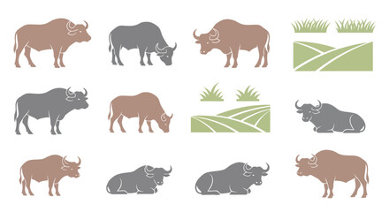 Fototapeta premium Rhinoceros Animals Wildlife Nature.