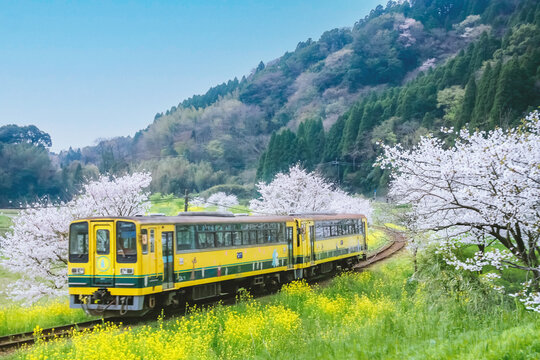 里山風景.田んぼ」の写真素材 | 16,623件の無料イラスト画像 | Adobe Stock