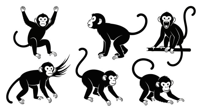 Set of Monkey Silhouettes in Various Poses