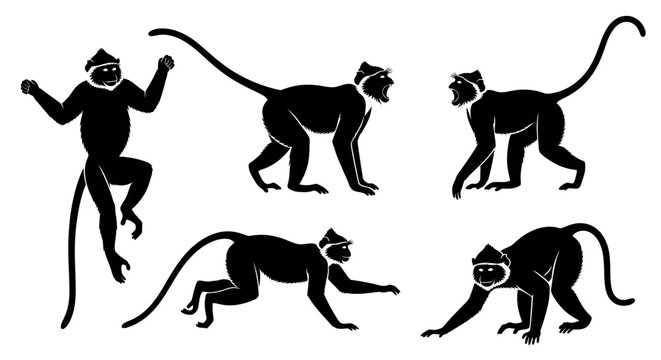 Set of Monkey Silhouettes in Various Poses