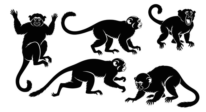 Set of Black Monkey Silhouettes in Various Poses