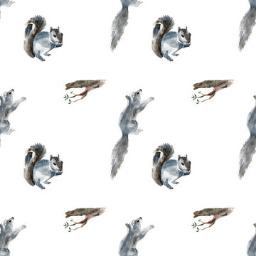 Pattern con scoiattoli, illustrazioni ad acquerello 