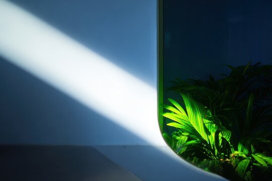 光と植物は屋内空間に興味深いシーンを作り出します