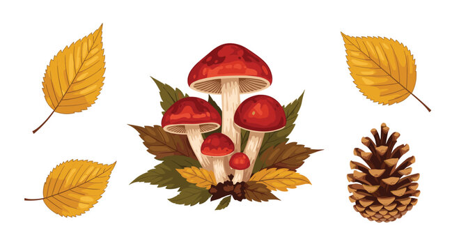 Autumn forest composition with red capped mushrooms golden yellow birch leaves and a textured pine cone isolated on white background.