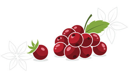 Obraz premium Ripe red cranberries clustered on a small branch with a green leaf and stylized white flower outlines in the background.