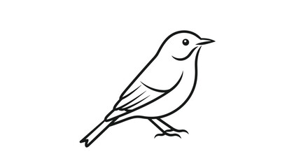 Obraz premium Minimalist black and white line drawing of a small songbird perched on an invisible branch in a clean profile view.