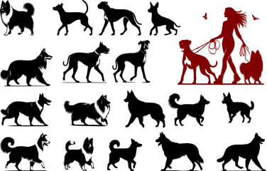 Fototapeta premium Large set of vector dog silhouettes of different breeds. Black and white canine figures and a red composition of a woman dog walker with pets on a leash.