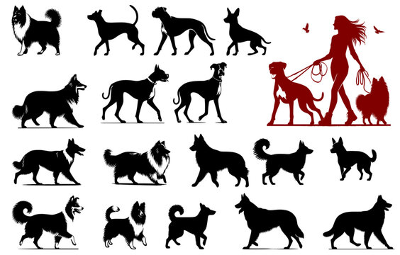 Large set of vector dog silhouettes of different breeds. Black and white canine figures and a red composition of a woman dog walker with pets on a leash.