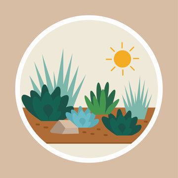 Succulent Garden Landscape with Sun and Rocks in Circular Frame