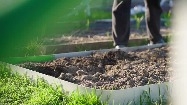 Slow motion of adding vermicompost to vegetable garden bed soil in spring before season