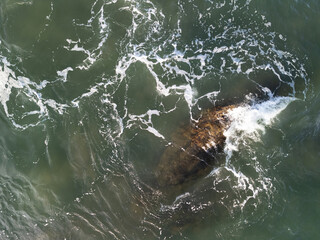 Fototapeta premium Large rock under water with waves around in coastal area