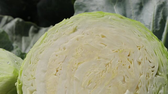Extreme close-up of sliced cabbage head showing detailed layered texture and natural pattern, fresh organic vegetable cross section, healthy food background