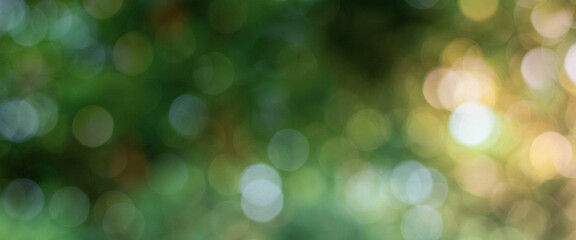 Fototapeta premium A beautiful, blurred background featuring a mix of green tones and soft bokeh effects, creating a serene and tranquil atmosphere in nature.