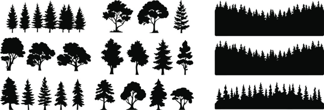 Black silhouettes of various trees and forest borders