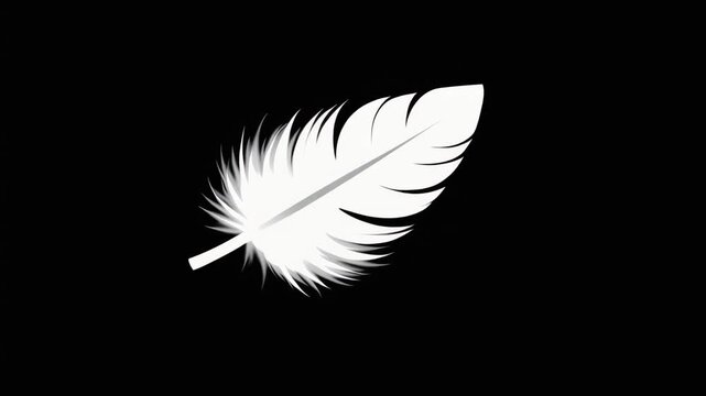 Soft feather floating, dark background loop video
