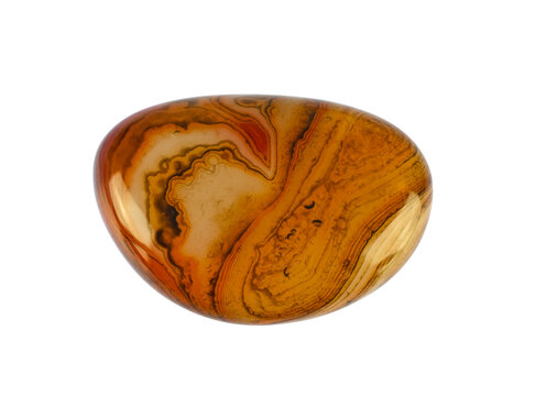 close up on lace agate isolated on white background