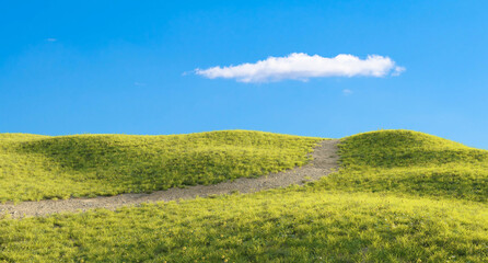 Fototapeta premium Green Meadow Landscape with Yellow Wildflowers, Path and Blue Sky with Clouds. 3D rendering.