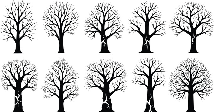 Set of black bare tree silhouettes with detailed branches and trunks on a white background for graphic design silhouette collection deciduous leafless botanical isolated minimalist landscape