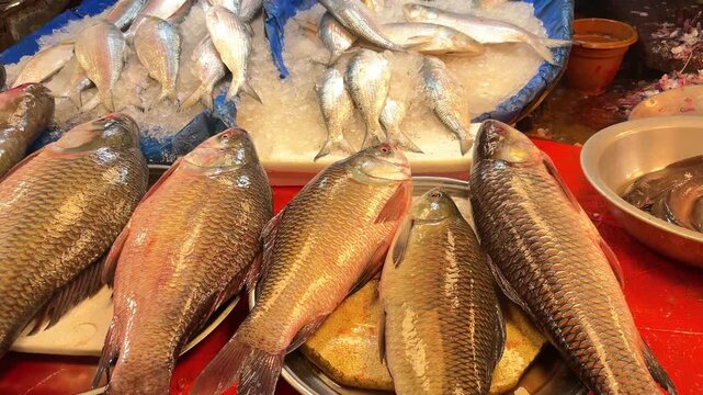 Fresh Rohu and Catla Fish for Sale in Traditional Market in Dhaka
