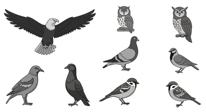 Birds of prey and common pigeons.