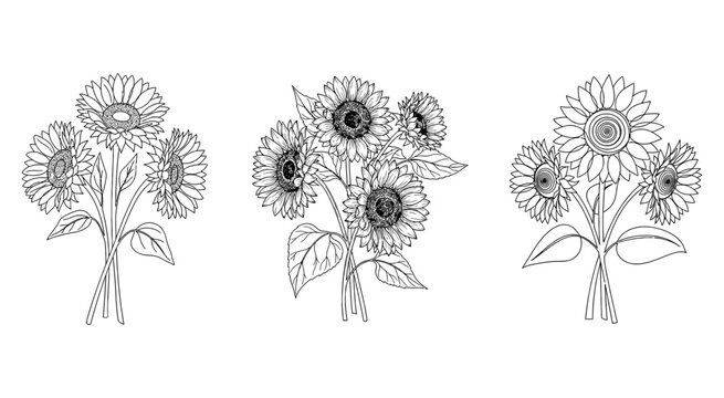Hand drawn sunflower bouquets set in black and white line art style
