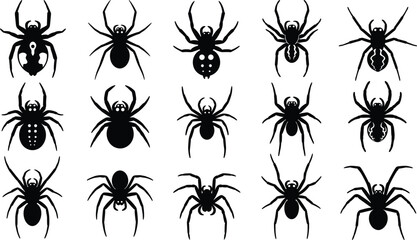 Spider silhouette illustration, arachnid artwork design, black insect motif, entomology vector drawing, stylized spider abdomen patterns, symmetrical arachnology study graphic © Fenshi