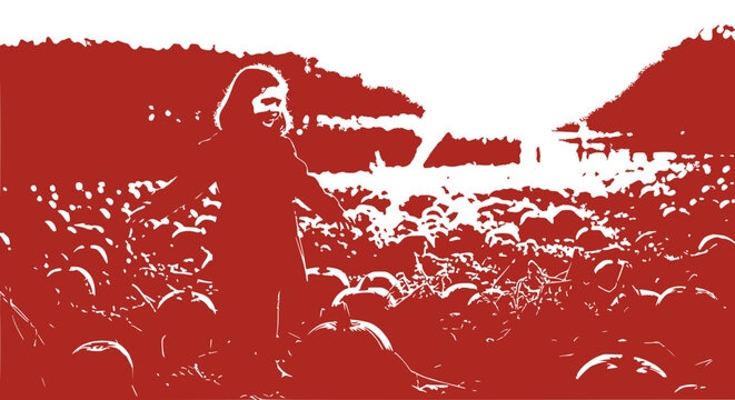 Happy Child in Pumpkin Patch Field at Sunset, Autumn Harvest Season