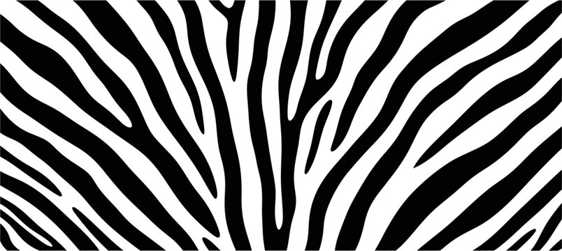 A close-up, high-contrast, black and white pattern of natural zebra stripes, showcasing the unique and organic texture of animal fur.