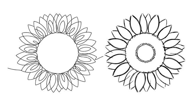 Two hand drawn sunflower sketches with petals and circular centers