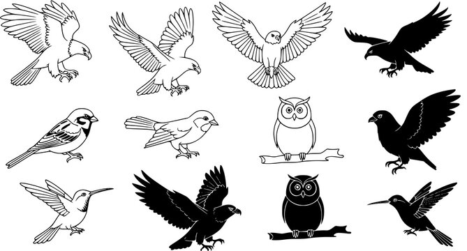 Diverse set of bird icons including eagles owls and small songbirds in outline and solid black silhouette styles for wildlife and nature graphic design projects vector