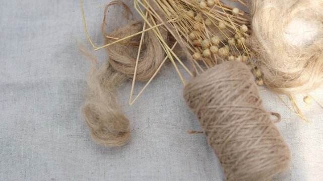 Dry flax stems, flax fiber, and linen twine on linen fabric background. Unwinding twine. Natural fiber and eco-textile.