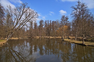 Obraz premium Pond in public park in Blatna, South Bohemian Region, Czech republic, Europe 