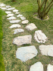 Fototapeta premium Natural stone stepping path in grassy garden