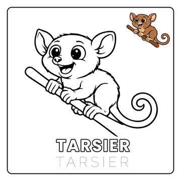 Tarsier Animal Children Coloring Pages