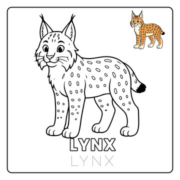 lynx Cat Animal Children Coloring Pages