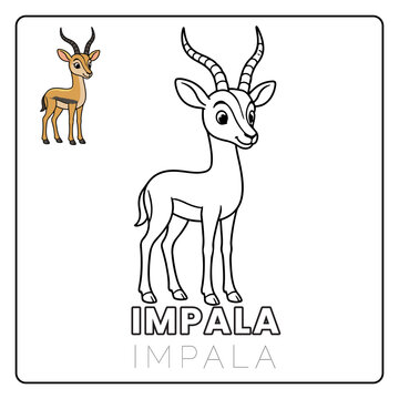 Impala Animal Children Coloring Pages