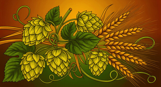 Illustration of fresh green hops and golden barley ears. Detailed brewery ingredients in a vibrant graphic style. Beer harvest concept for craft brewery labels and Oktoberfest marketing.