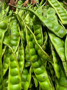 Close-up photo of a bunch of fresh green petai or stink beans (Parkia speciosa) in their pods, a popular tropical vegetable and culinary ingredient in Southeast Asian cuisine.