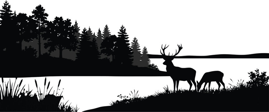 Deer silhouettes by lake and forest black and white vector illustration
