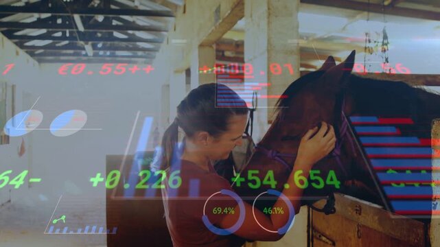 Woman approaching stall, touching horse and checking halter for care with finance charts overlaying