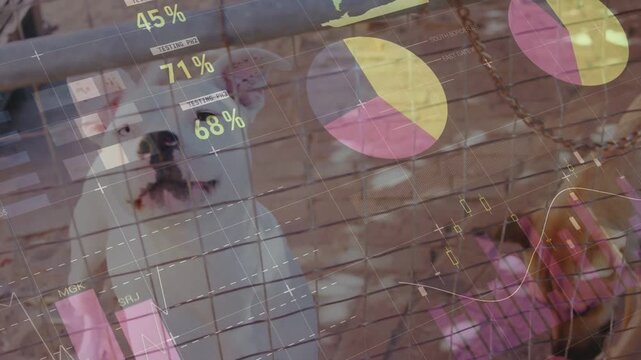 Translucent HUD overlay appearing, dogs pressing fence while charts shifting, showing kennel data