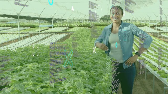 Female grower leaning over greenhouse bed inspecting plants and activating AR showing crop data