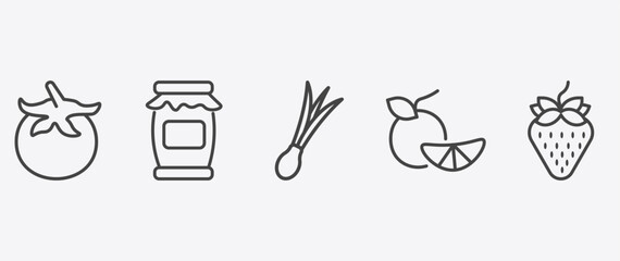 Obraz premium vegetables and fruits icon set with mason jar, spring onion, tangerine, strawberry signs in flat outline style